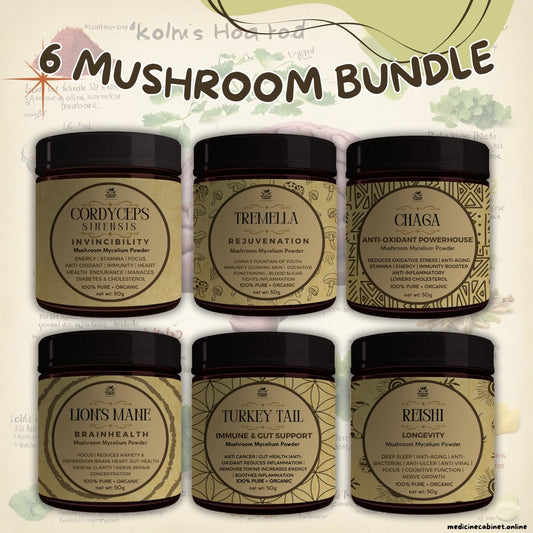 6 MUSHROOM BUNDLE | Reishi + Tremella + Lion's Mane + Chaga + Turkey Tail + Cordyceps