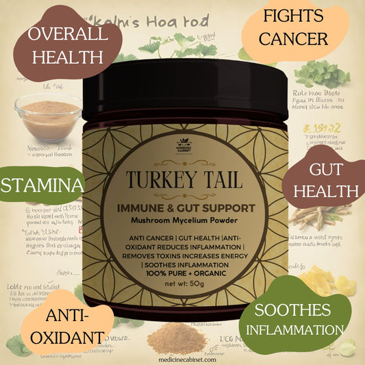 TURKEY TAIL MUSHROOM | GUT & IMMUNE SUPPORT